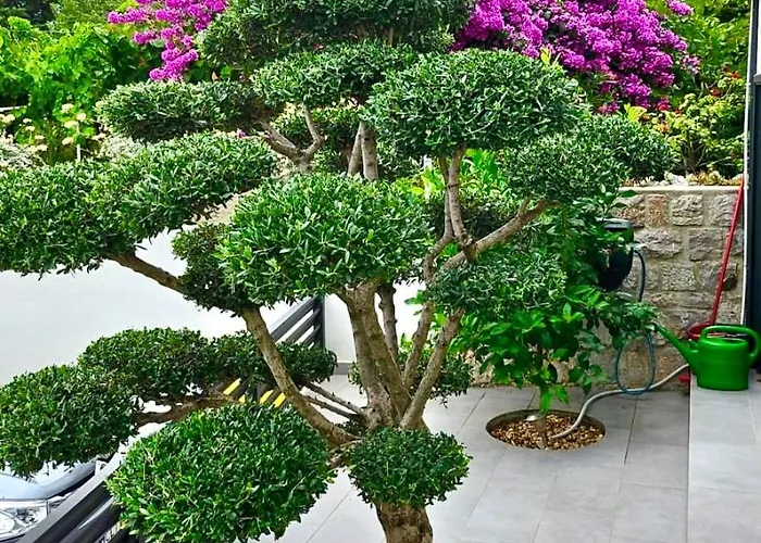 Maslina & Pinija Διαμέρισμα Crikvenica